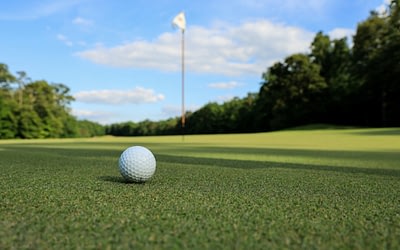 SW Support 2018 Fore Eyes Lions Golf Tournament