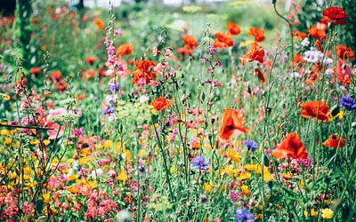 Smith-Wright Sponsors 30th Annual Secret Garden Party